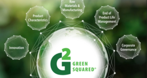 CC Newsletter May 2025 - Green Squared