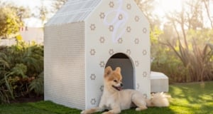 Tiled Doghouses