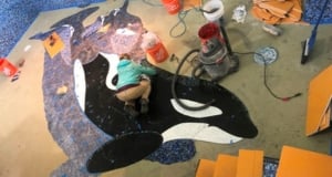 Orca Pool