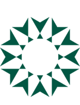 SOLIDOR